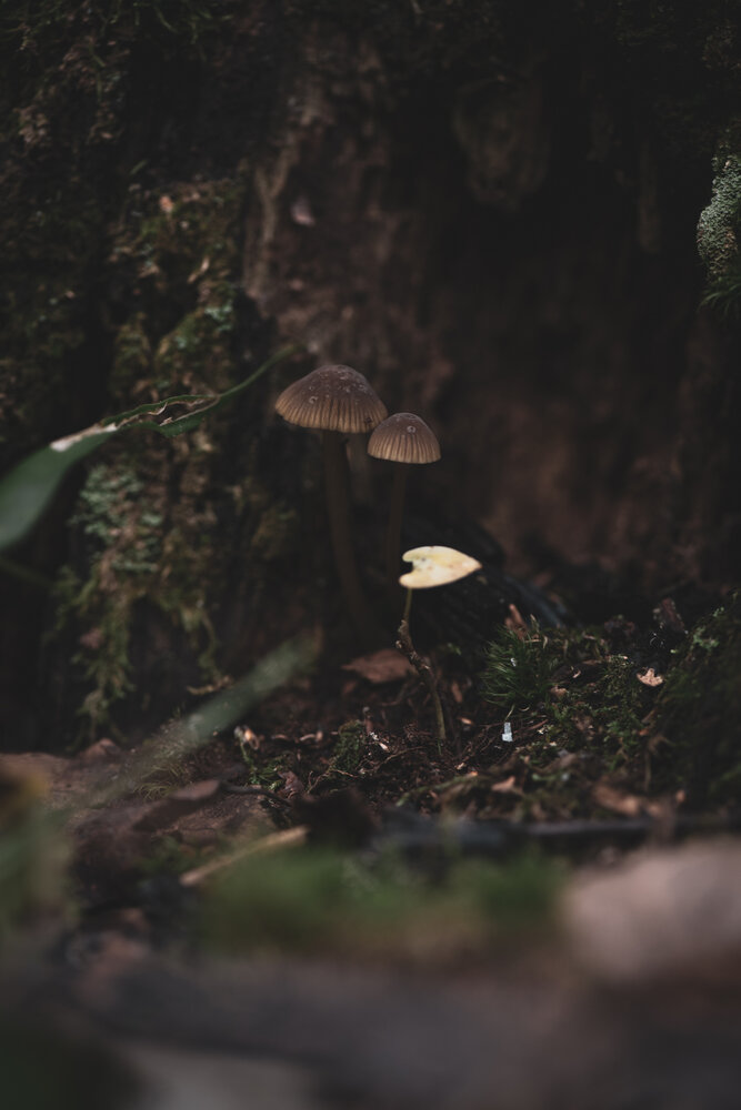 Photograph by Войнов Дмитрий