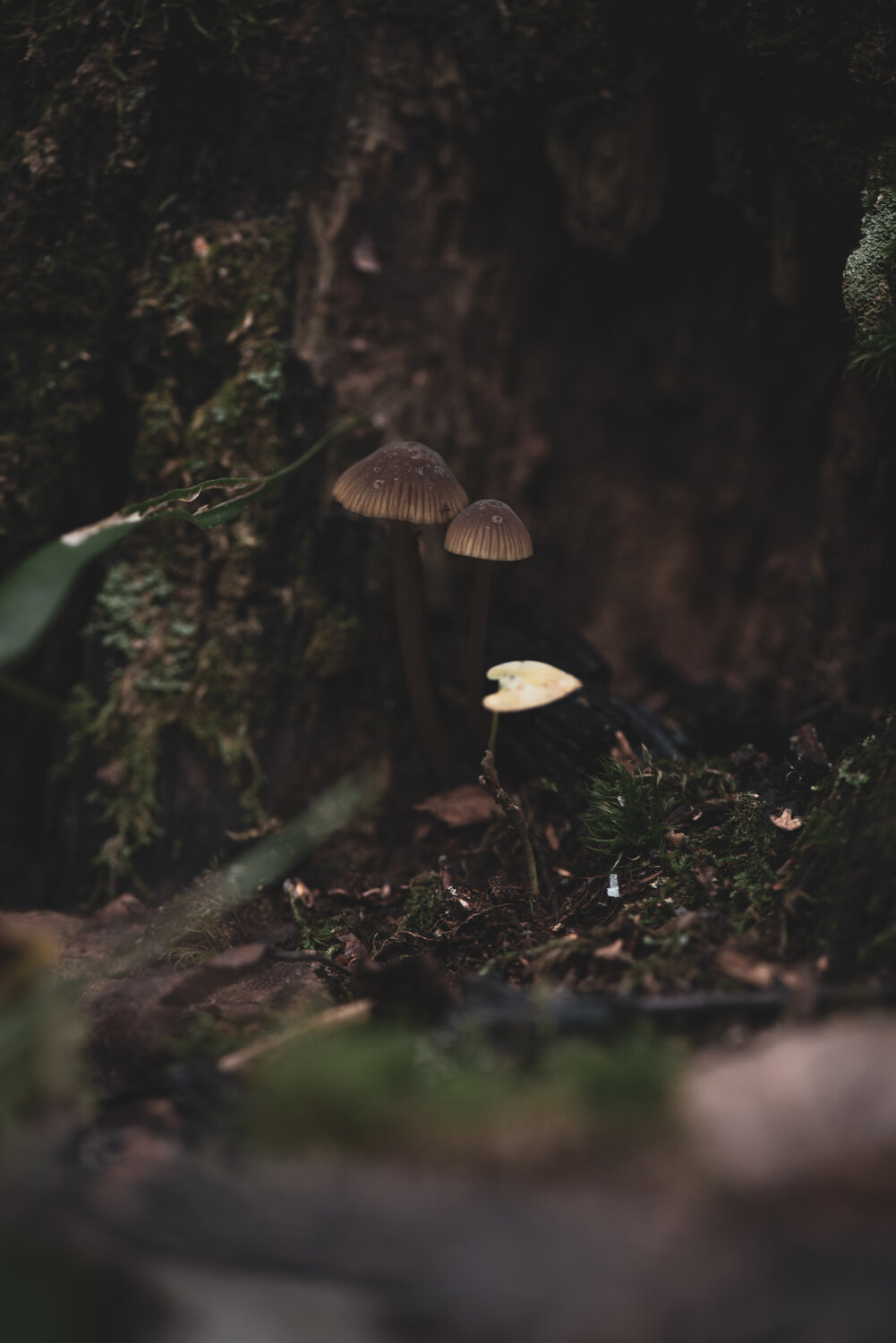 Photo #13936428
