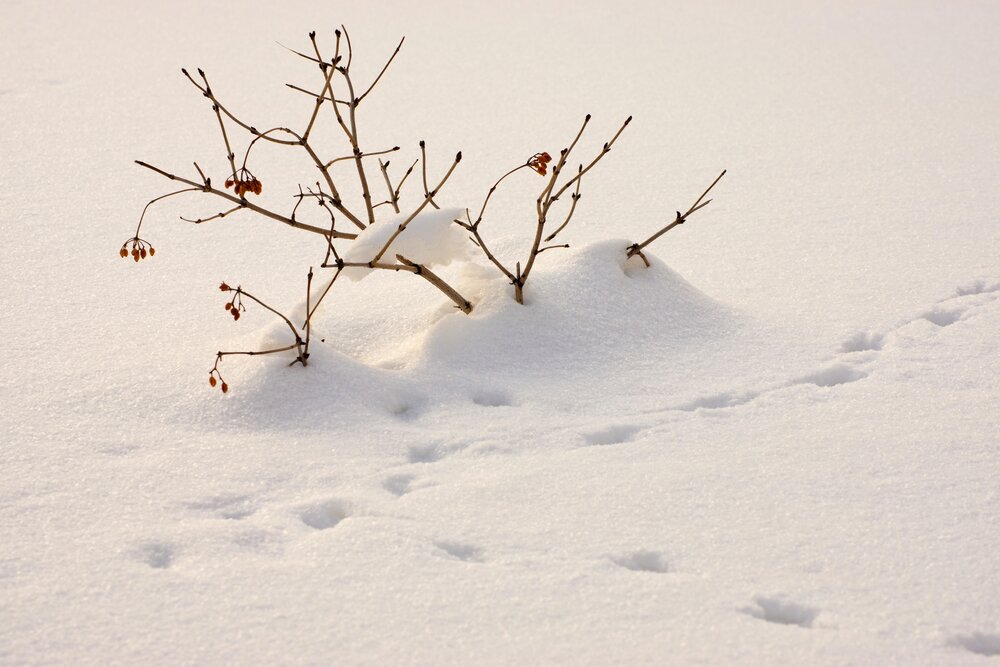 Photograph by Виктор Анциферов