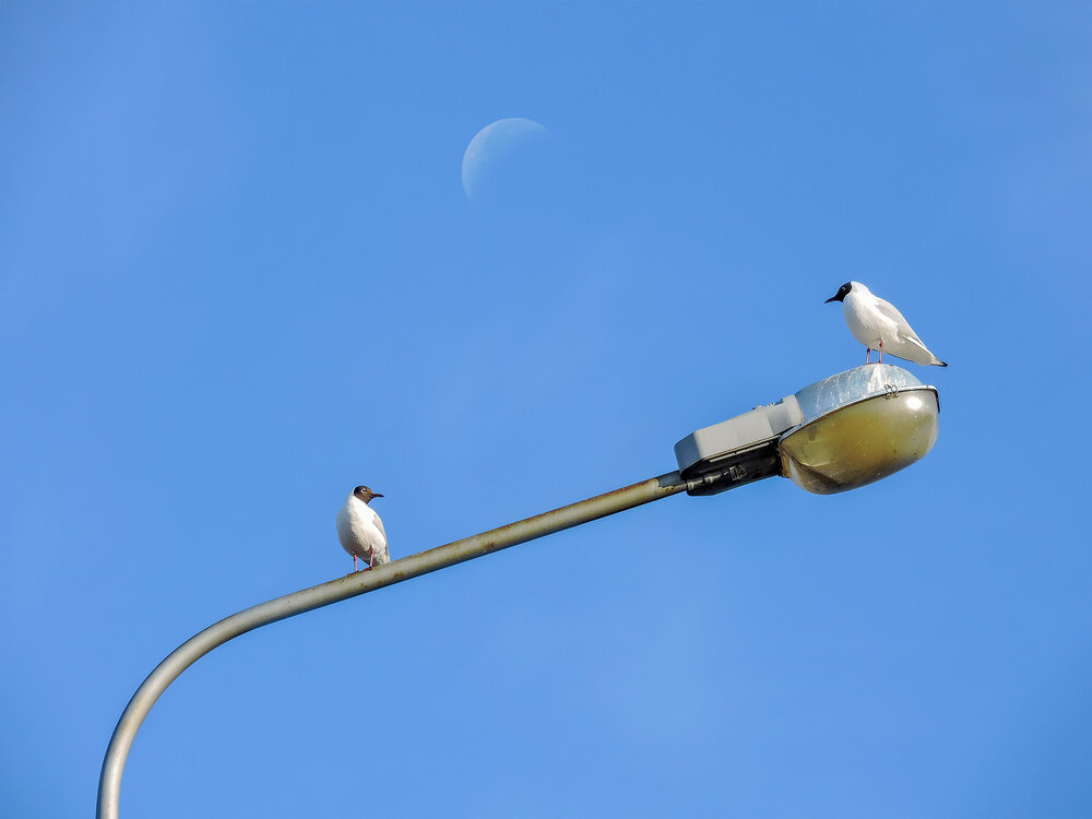 Photograph by Станислав Татарников