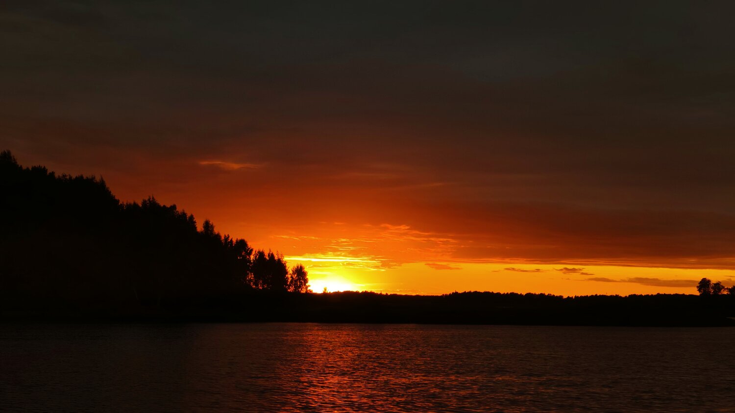 Photo #13936600