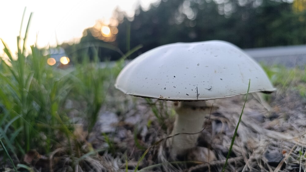 Photograph by Николай Кузнецов