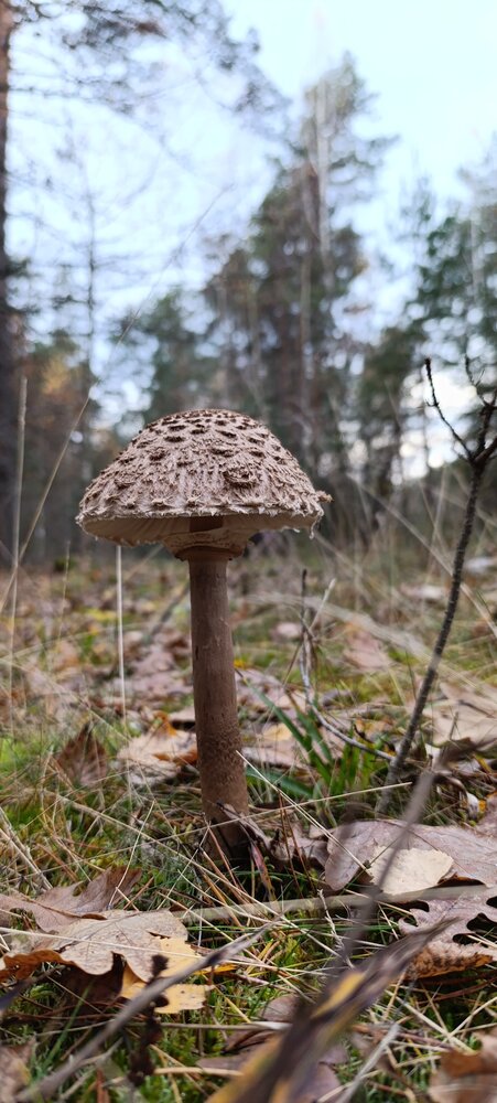 Photograph by Николай Кузнецов