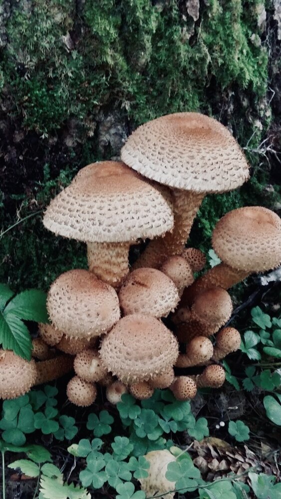 Photograph by Nataliia Pentjusa