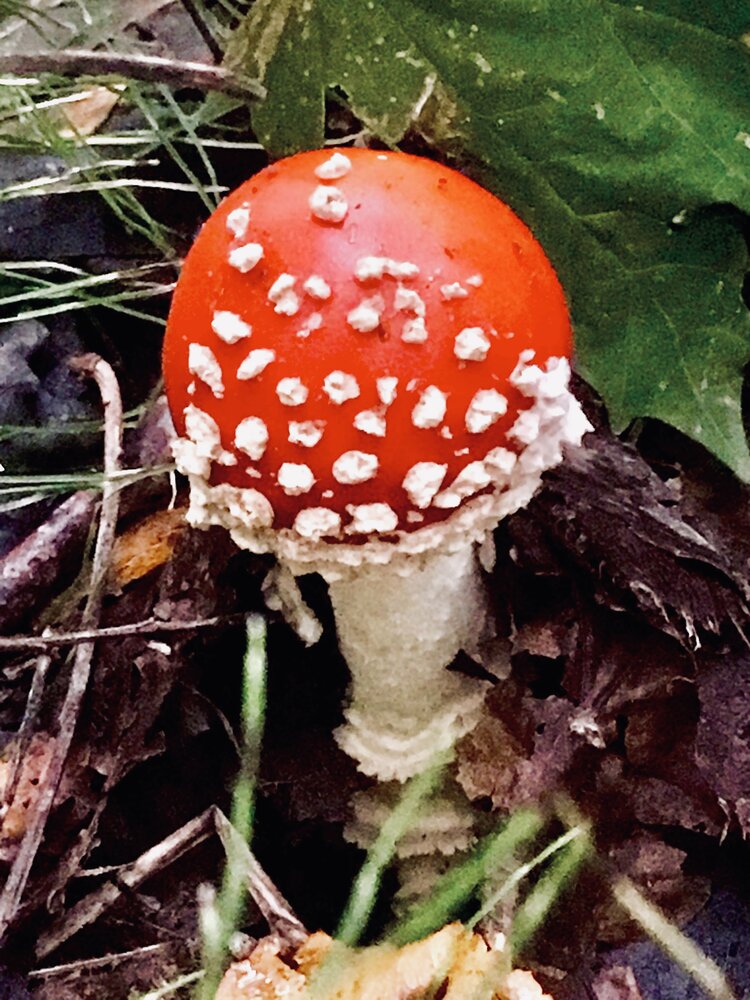 Photograph by Nataliia Pentjusa