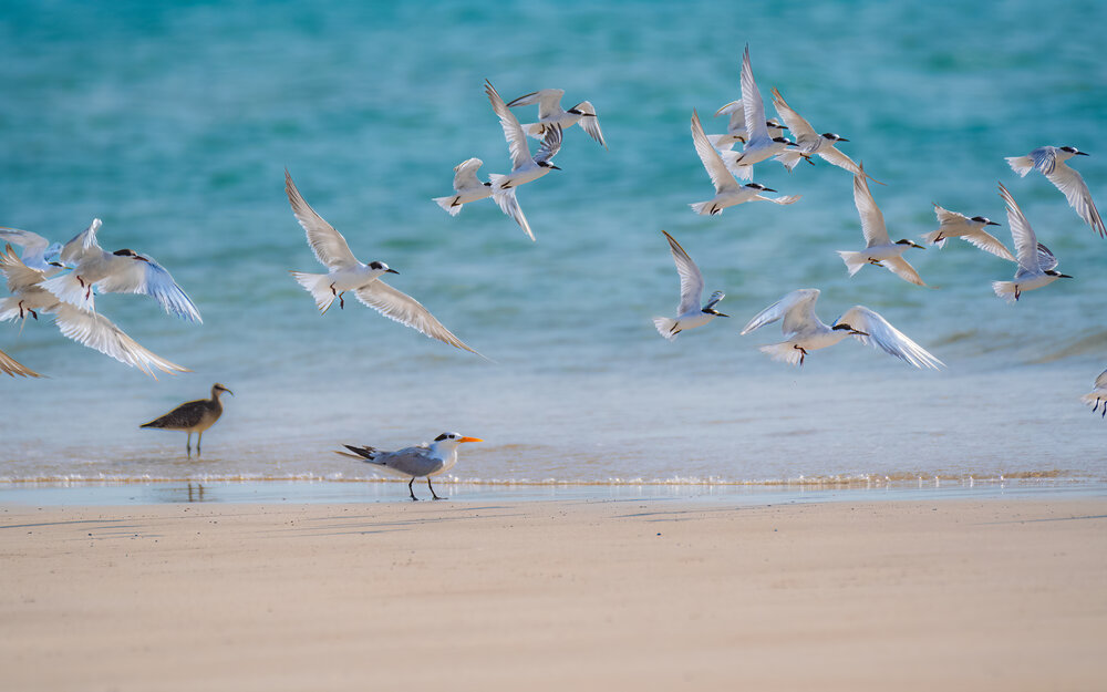 Photograph by Babar Swaleheen