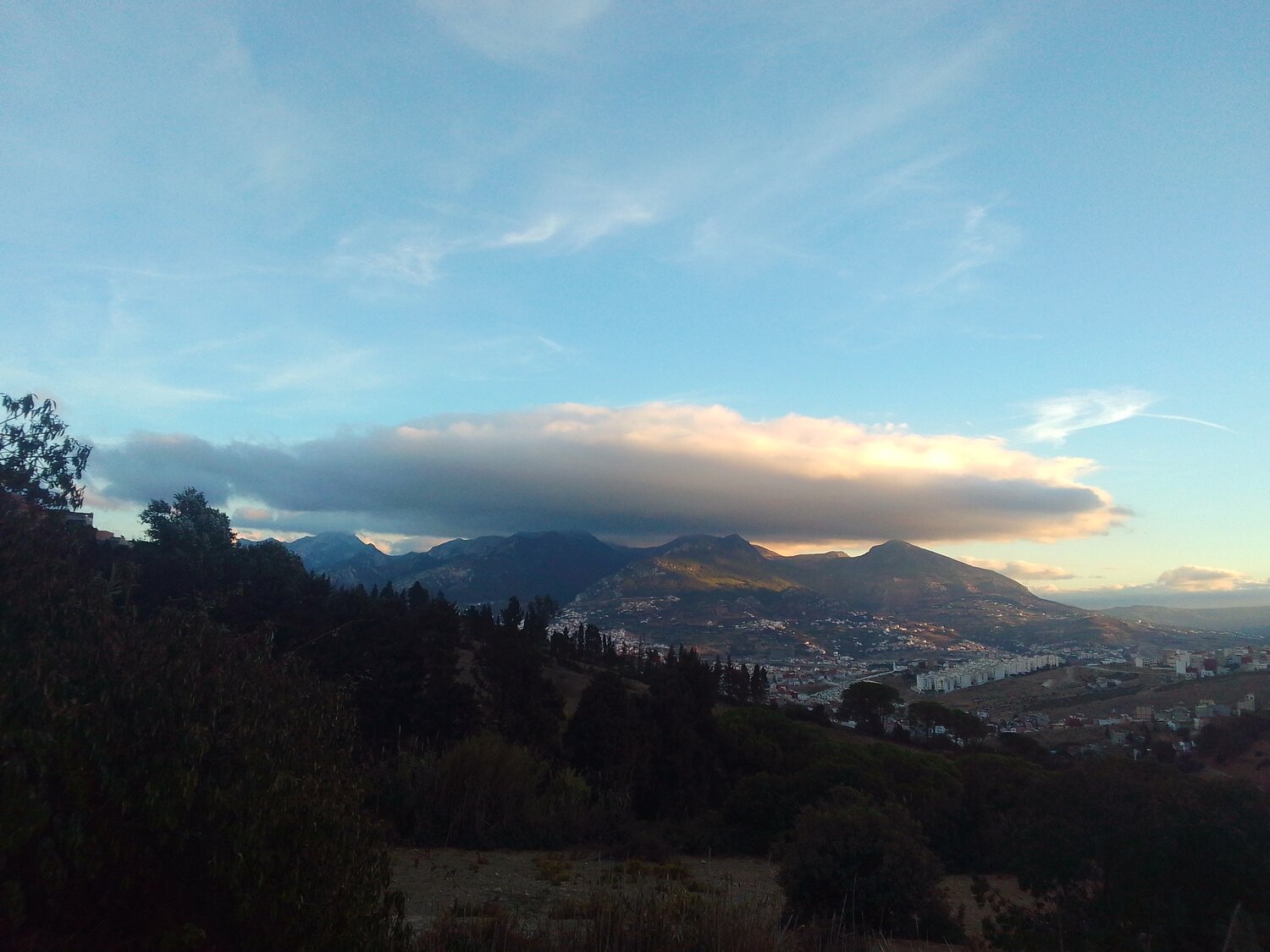 Photo #13937128