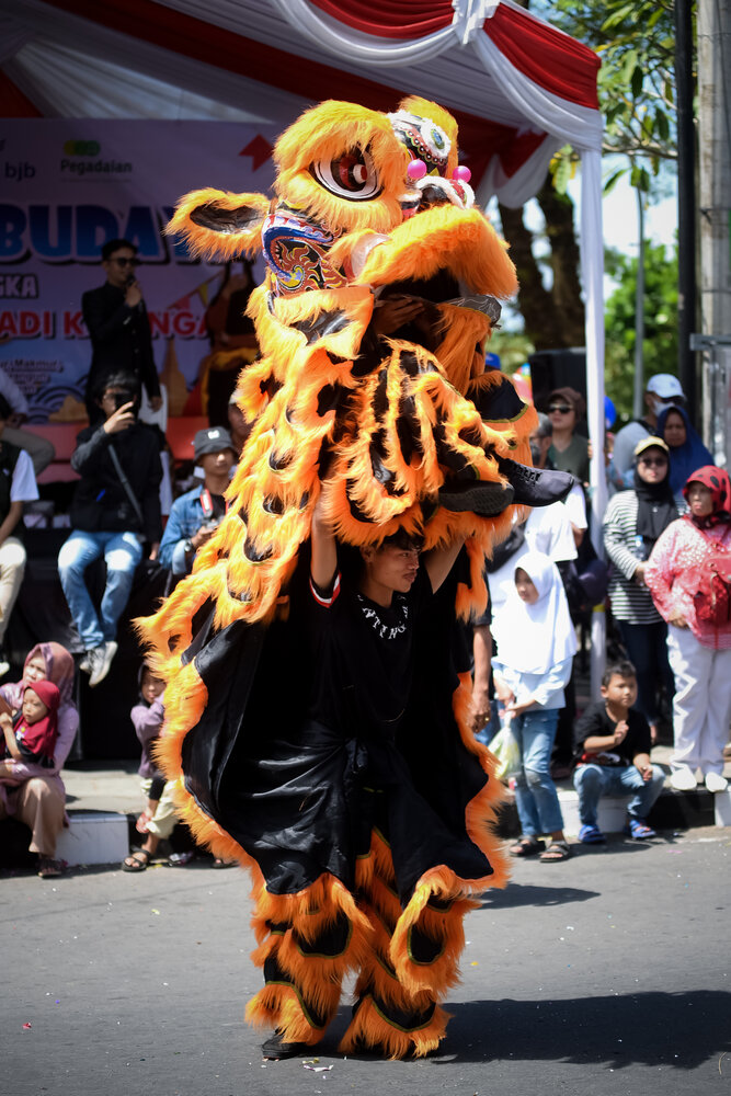 lion dance