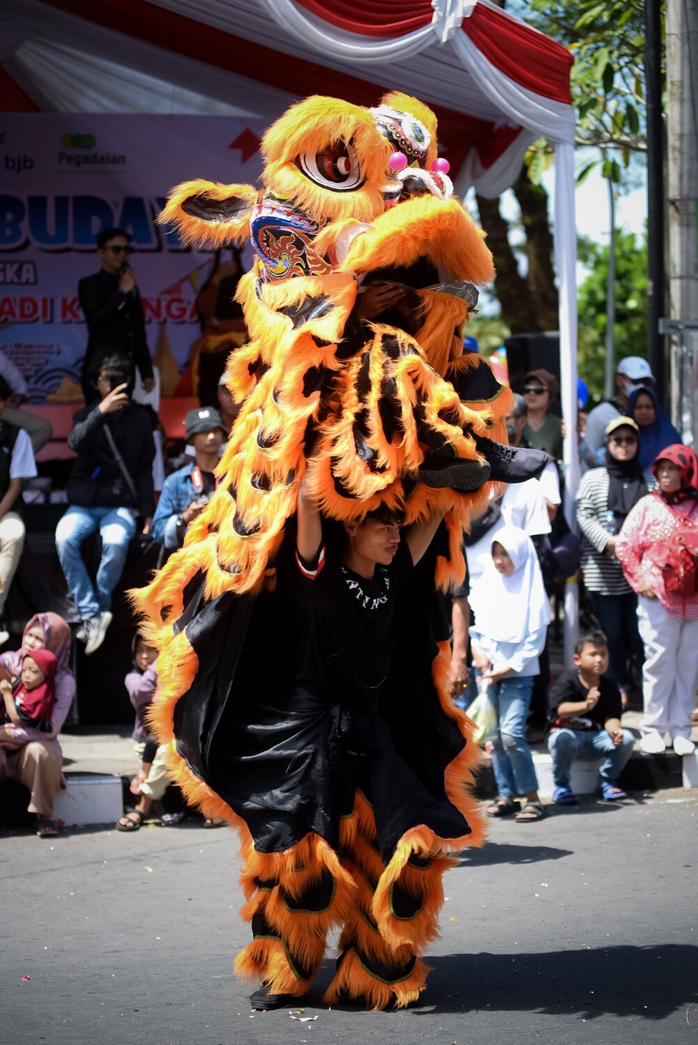lion dance