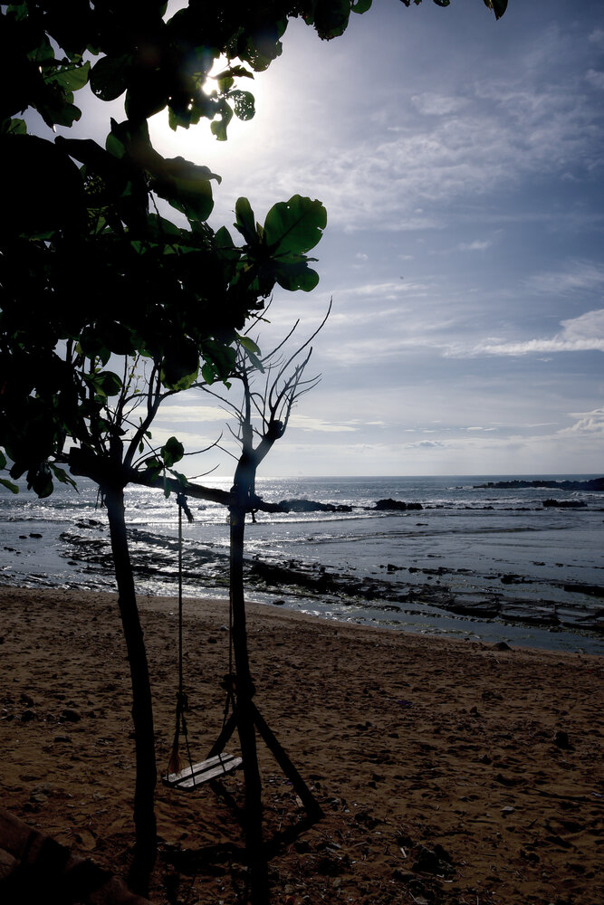 Harmony at the Edge of Silence