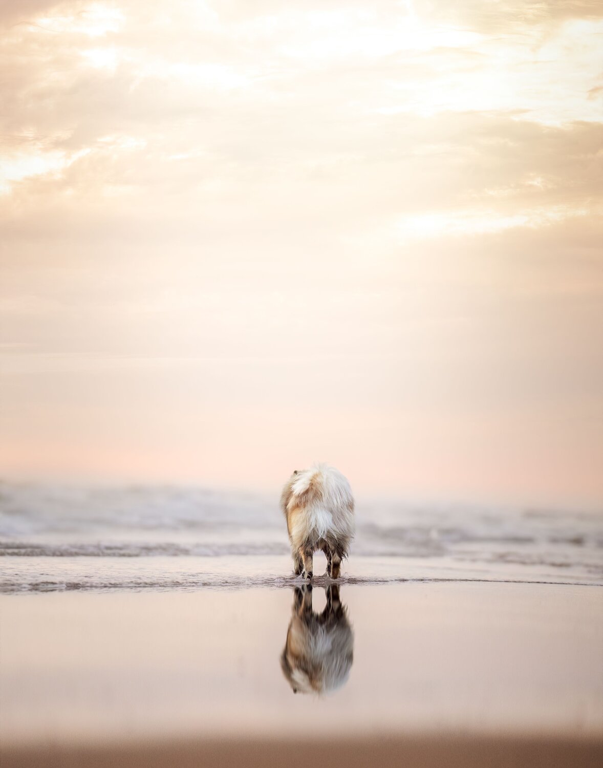 Photo #13937386