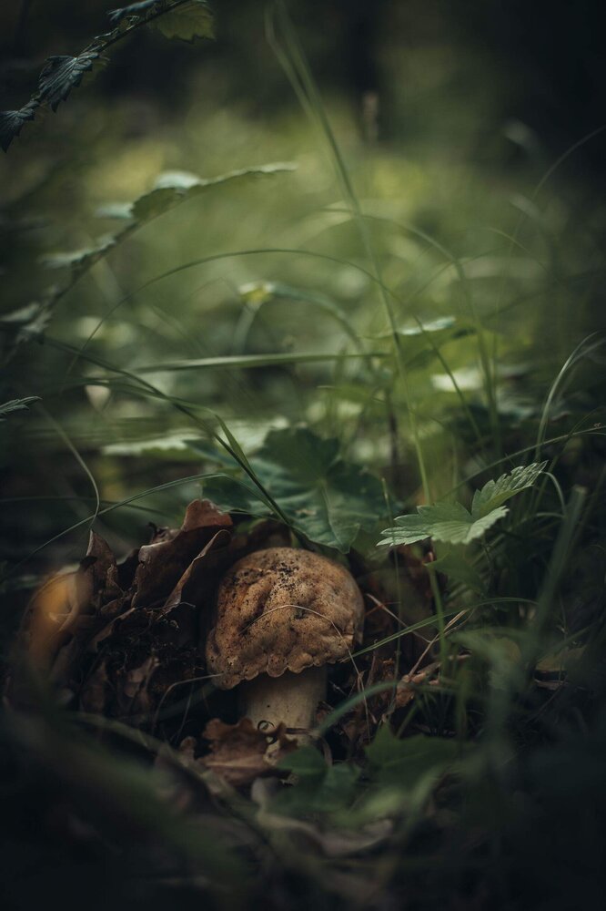 Photograph by Angelina Bukina