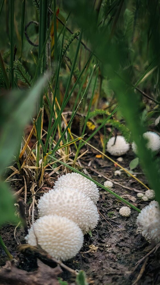 Photograph by Angelina Bukina
