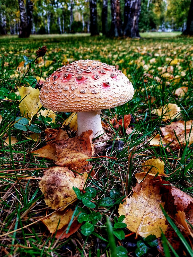 Photograph by Наталья Филянина