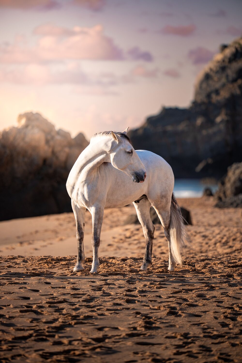 Photo #13937770