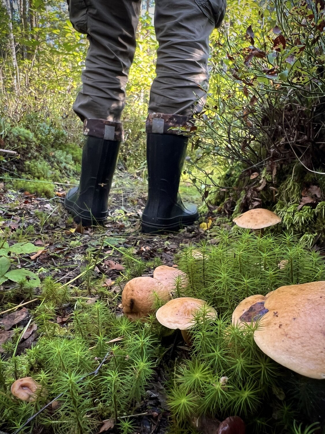 Photo #13937883