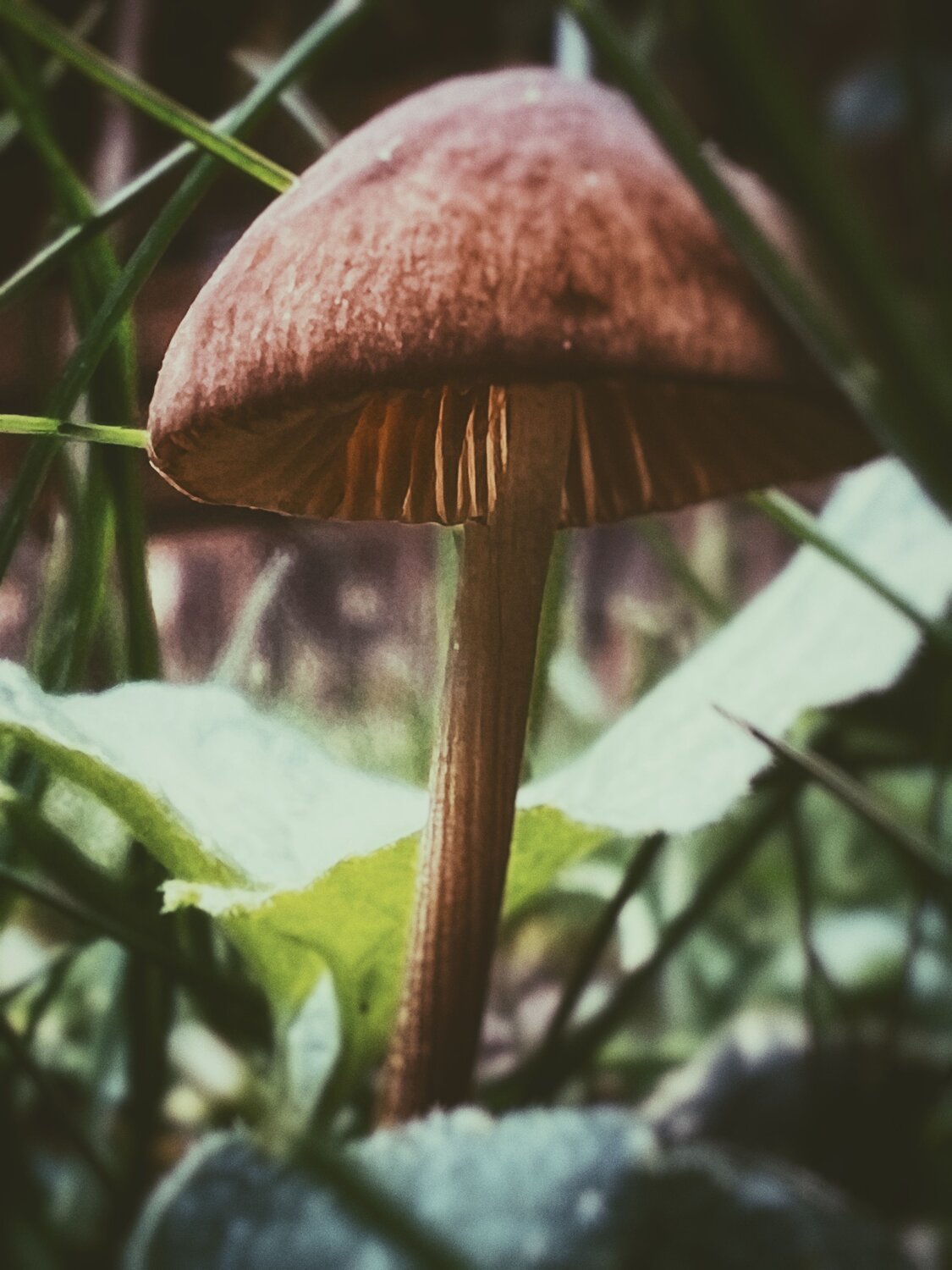 Фотография #13937953