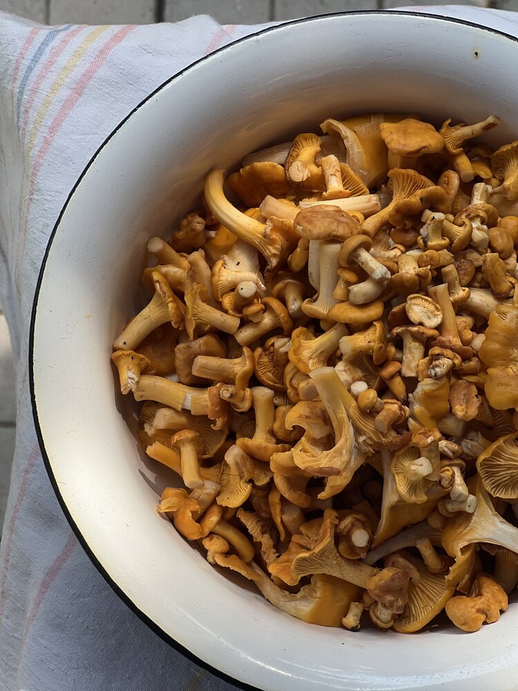 Фотография автора Анастасия Куэлляр