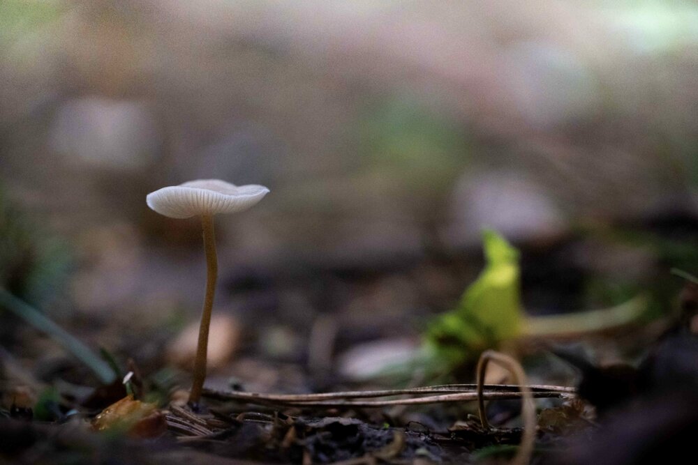 Photograph by Иван Калабушев