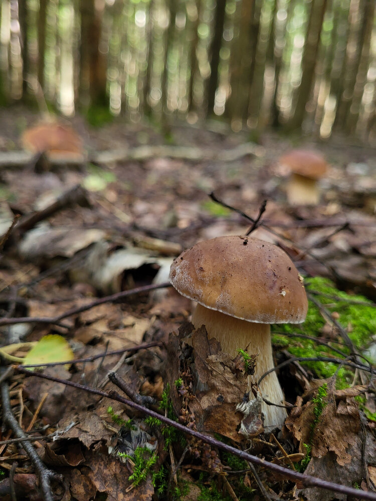 Photo #13938160