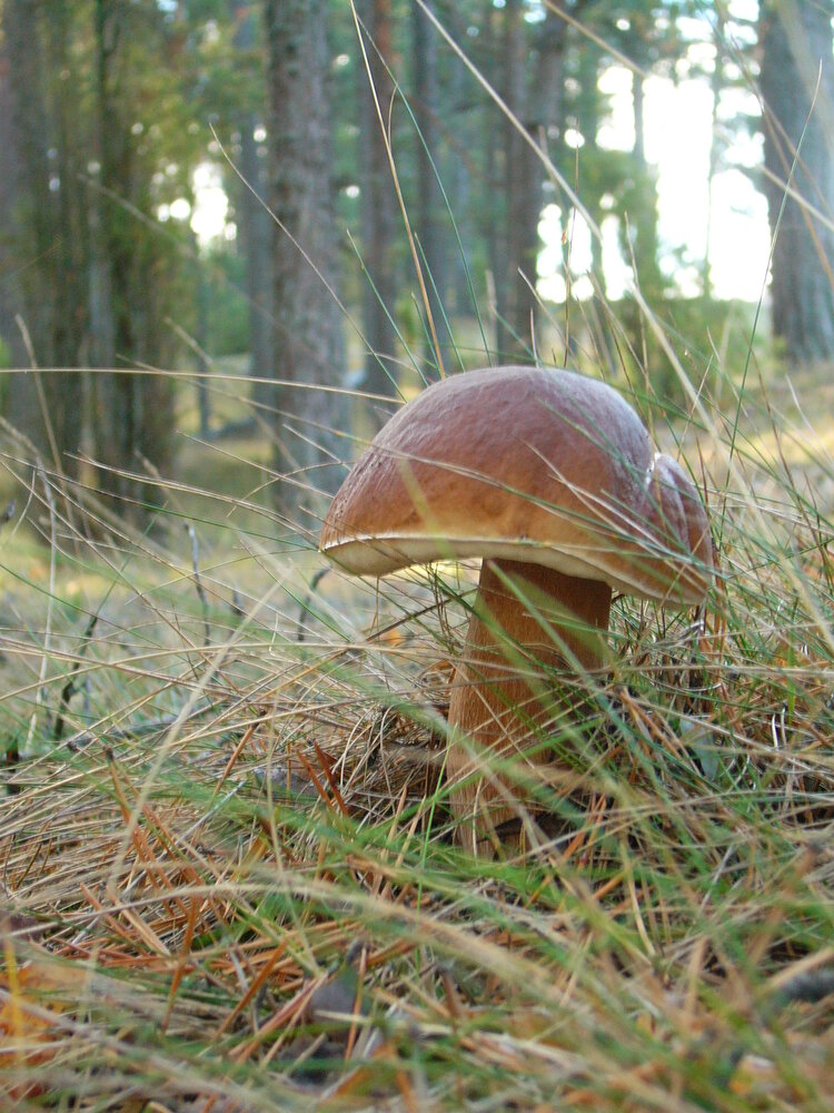 Photograph by Pjotr Alekseev