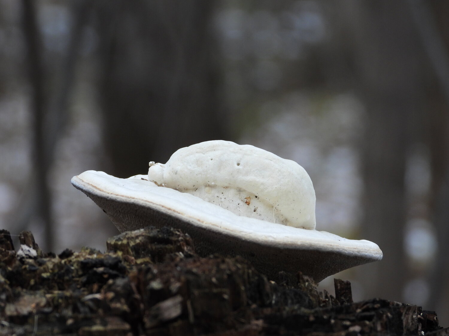 UFO