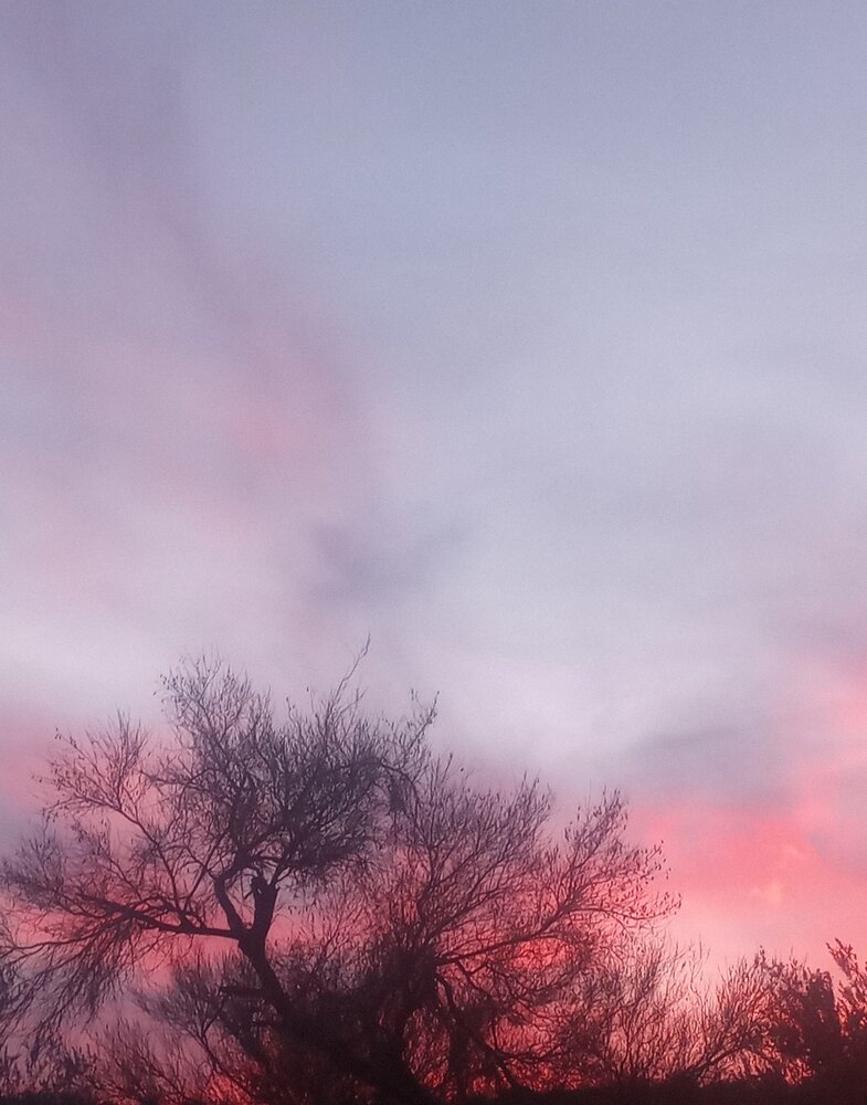 Desert pastel