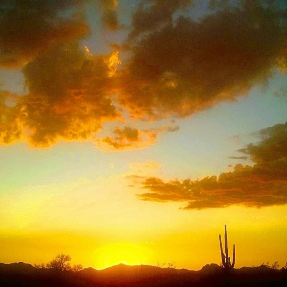 Arizona desert at sunset