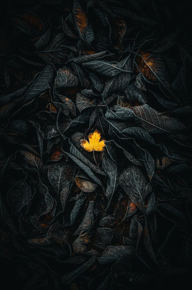 Photograph by Наталья Алексеева
