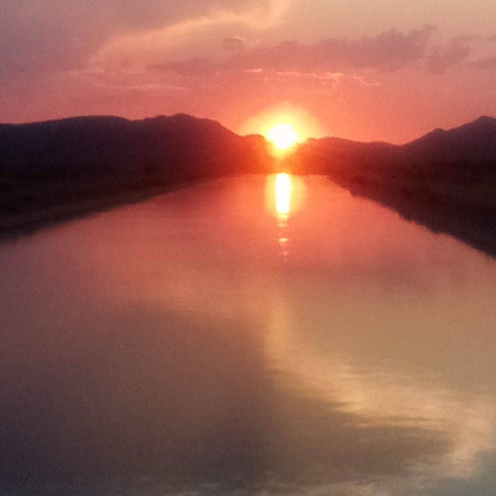 The sunset between