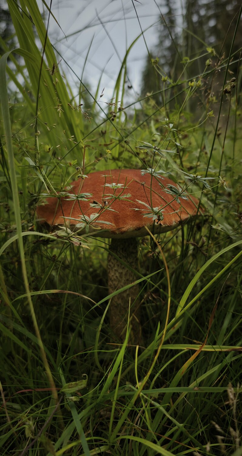 Photo #13938444
