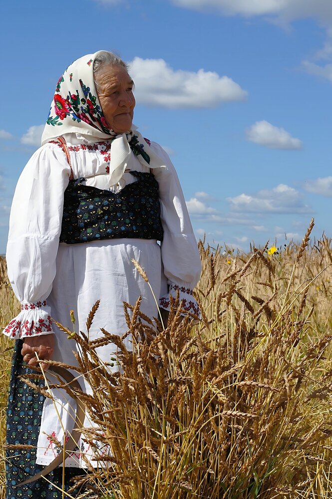 Начало жатвы