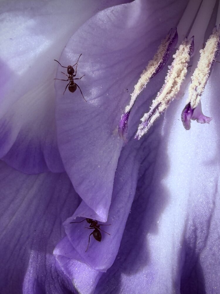 Photograph by Ксения Гулькова