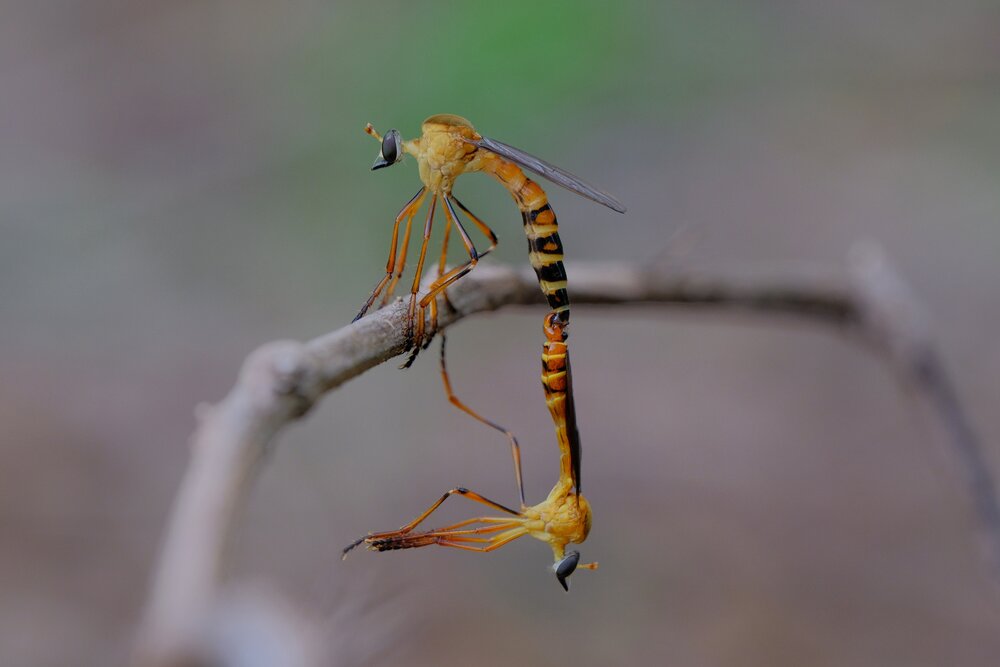 Photograph by catur handoko