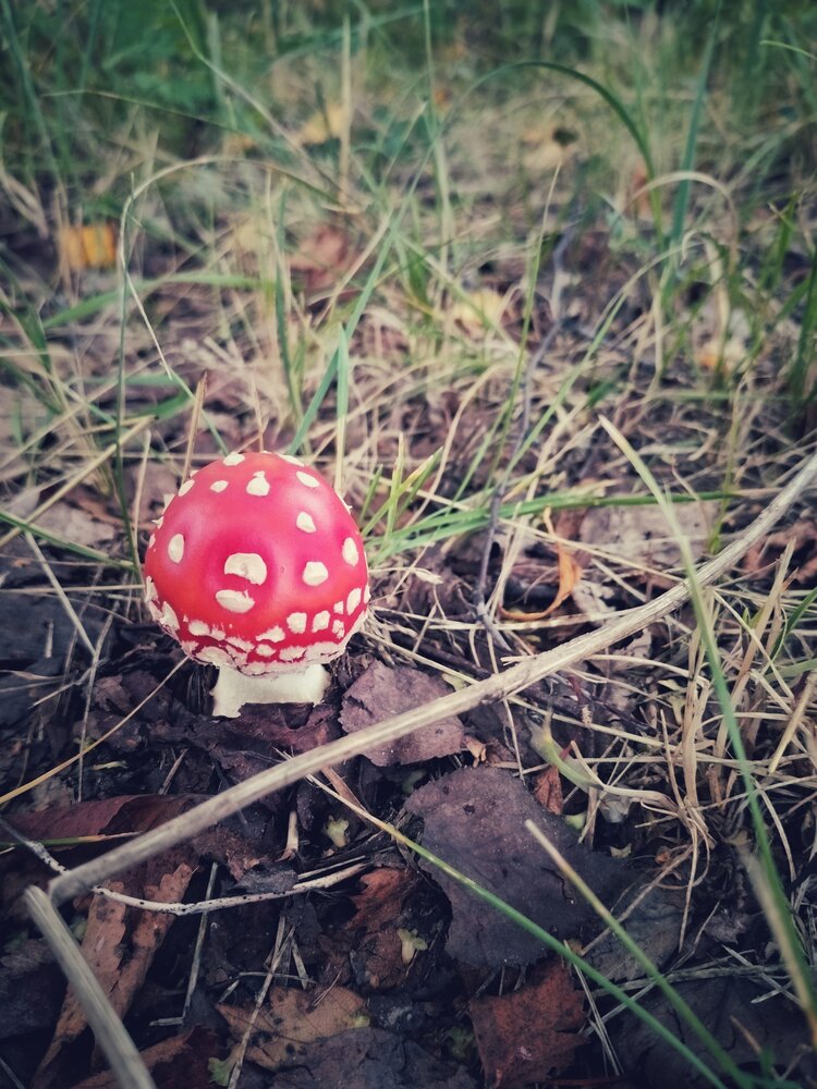 Photograph by Татьяна Небрат