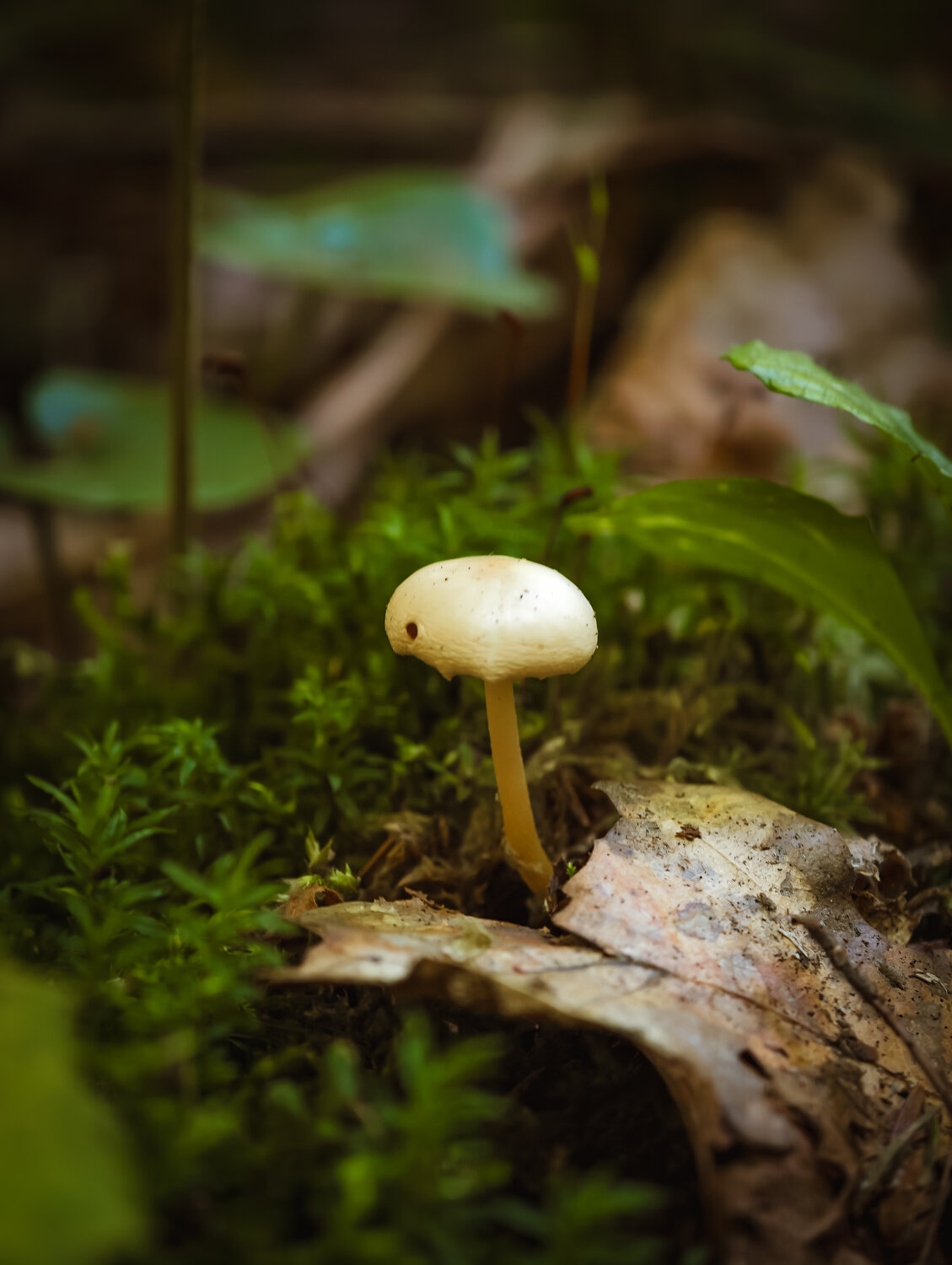 Photo #13938739