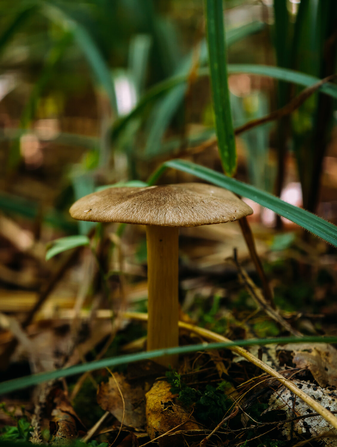 Photo #13938740