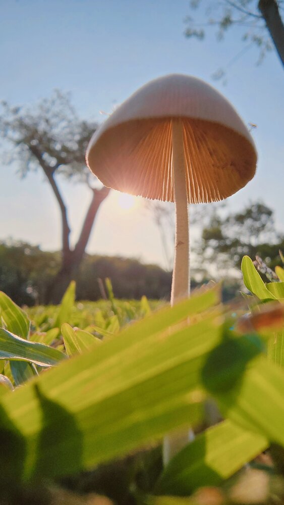 Photograph by Chau Nguyen