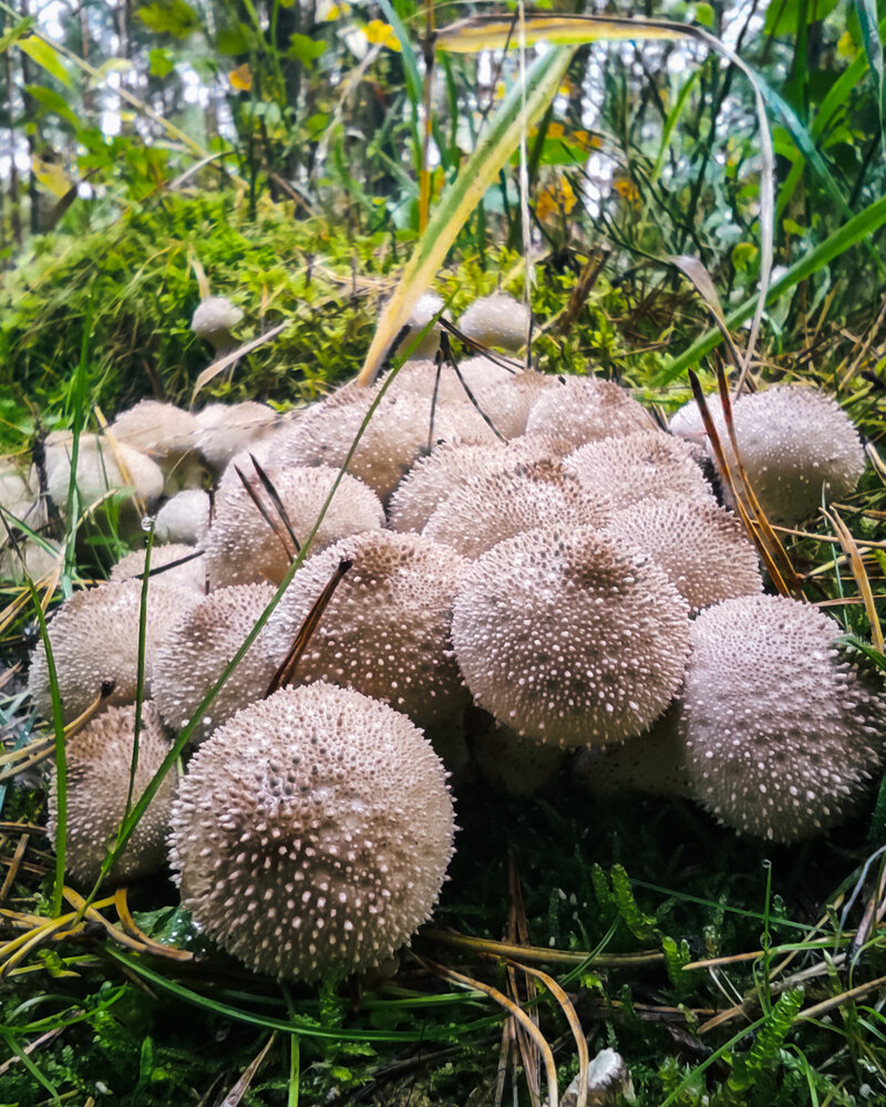 Photograph by Дарья