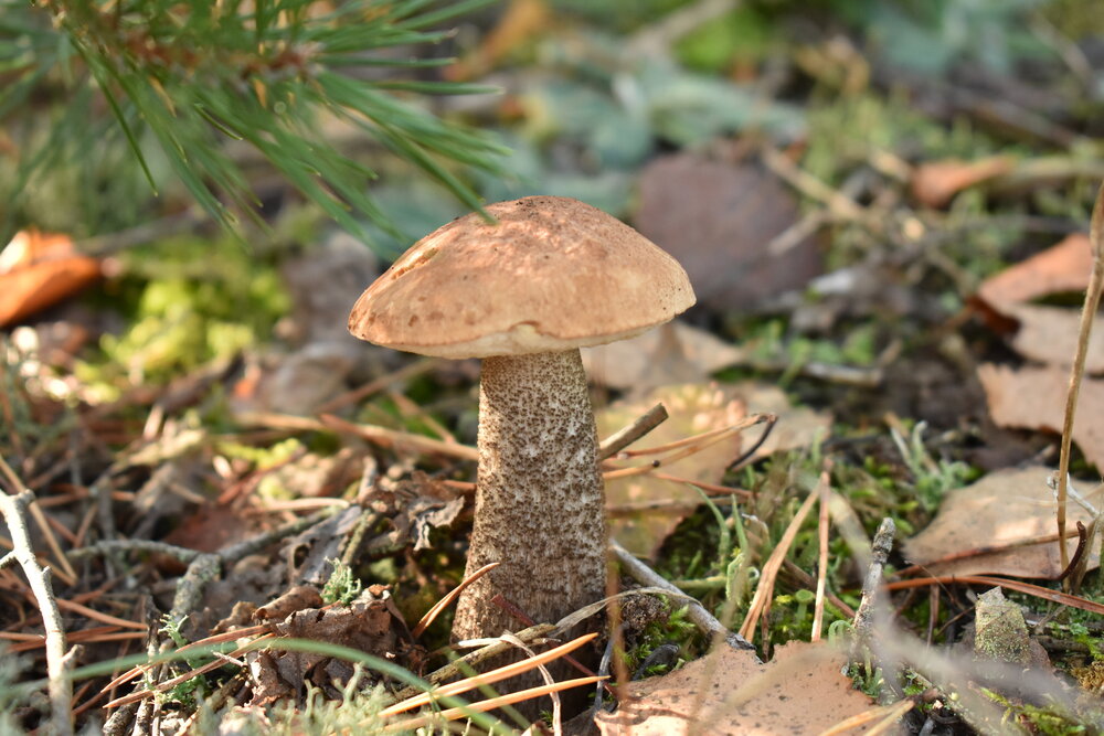 Photograph by Татьяна Зиновенко