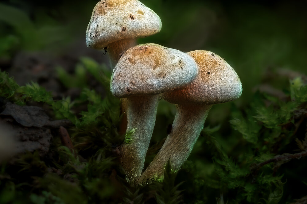Photograph by Алхимов Артем