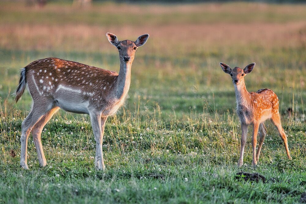 Photograph by Janis Serdienis