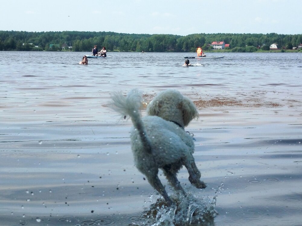 Photo #13938947