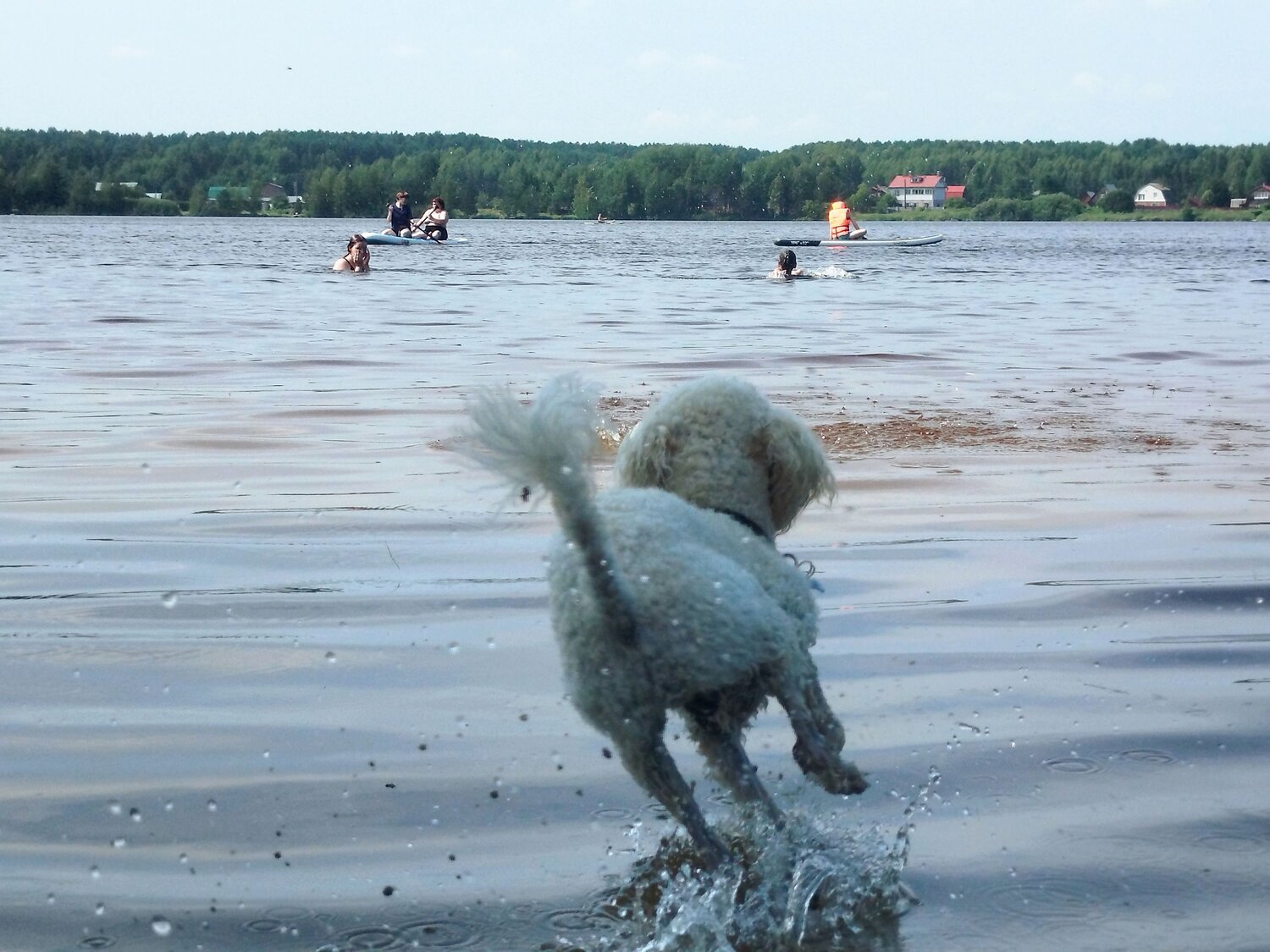 Photo #13938947