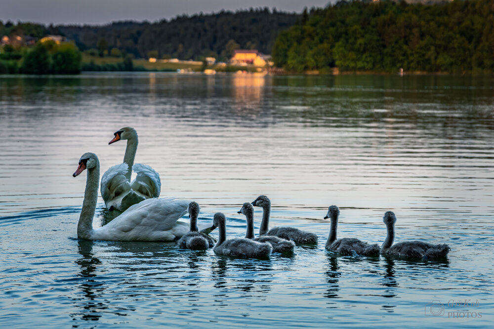 Photograph by Gregor Kobilica