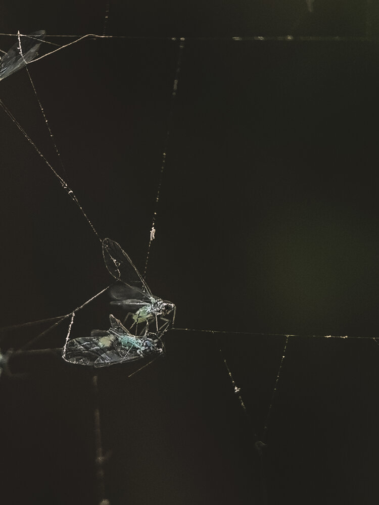 Photograph by Екатерина Вакалова