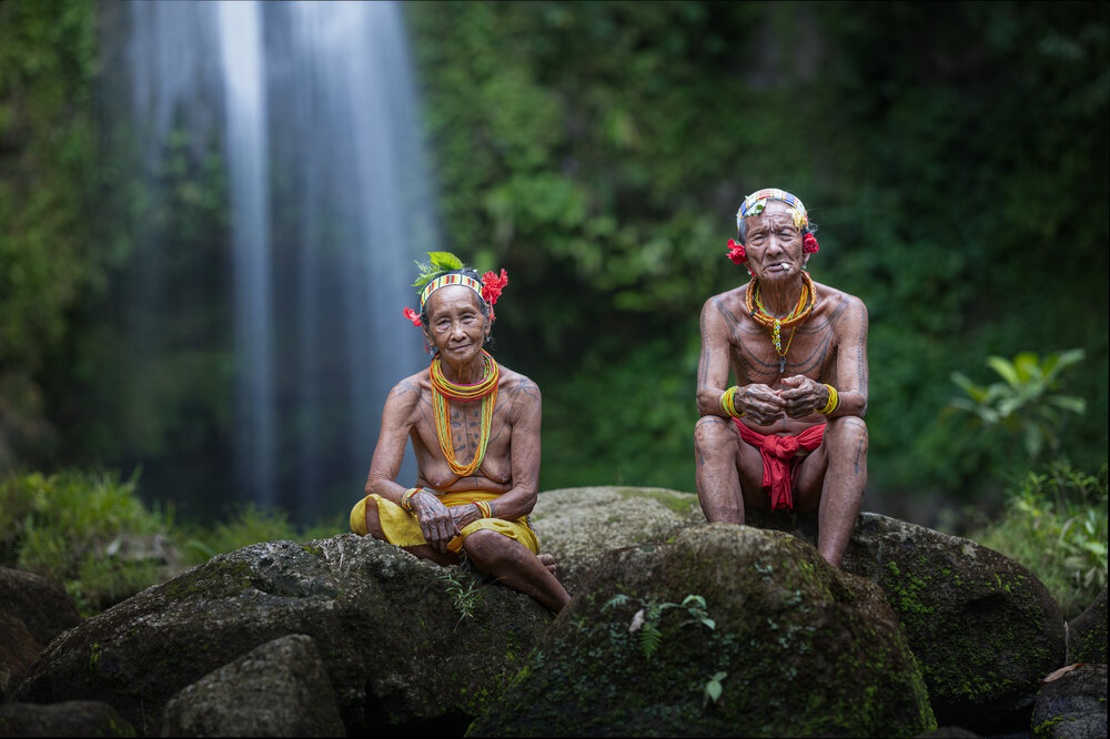 Companions of the Ancestral Forest
