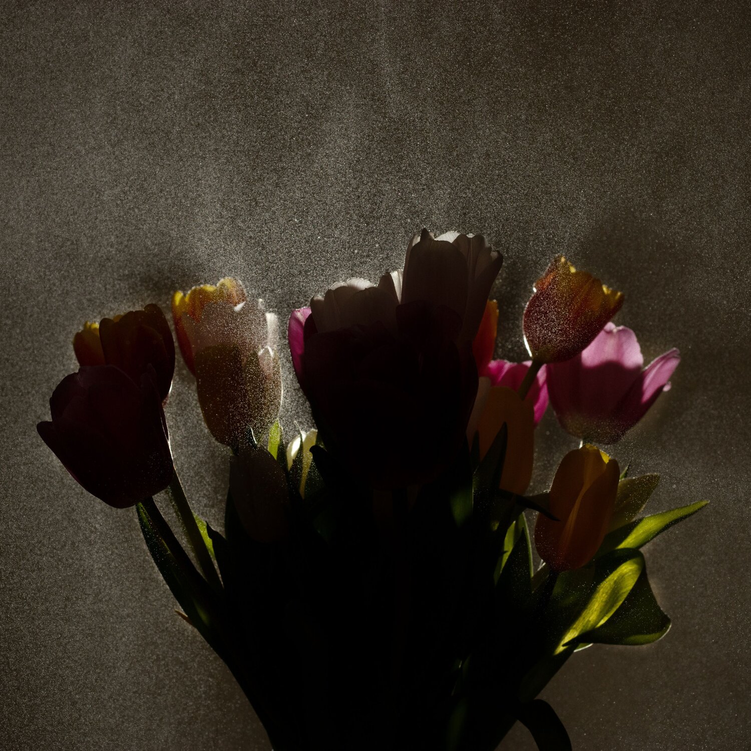 Photo #13939344