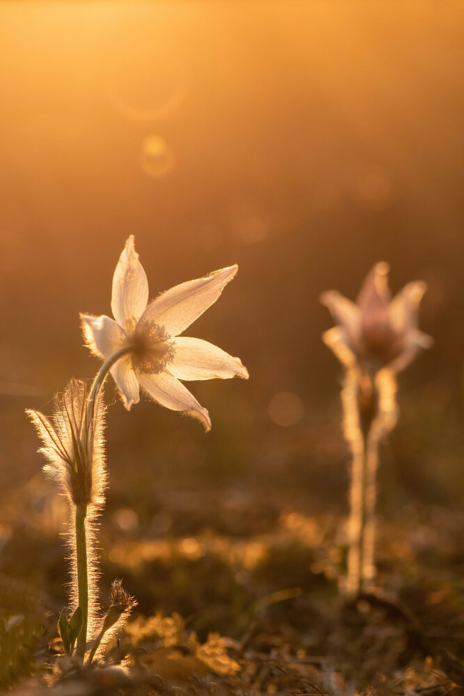 Photograph by Калиногорский Юрий