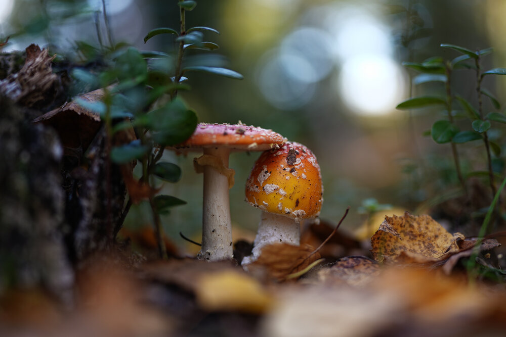 Photograph by Сибиряк